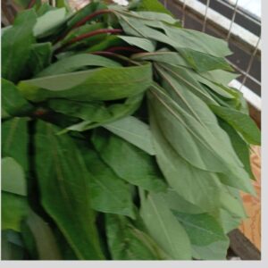 Frozen Cassava Leaves