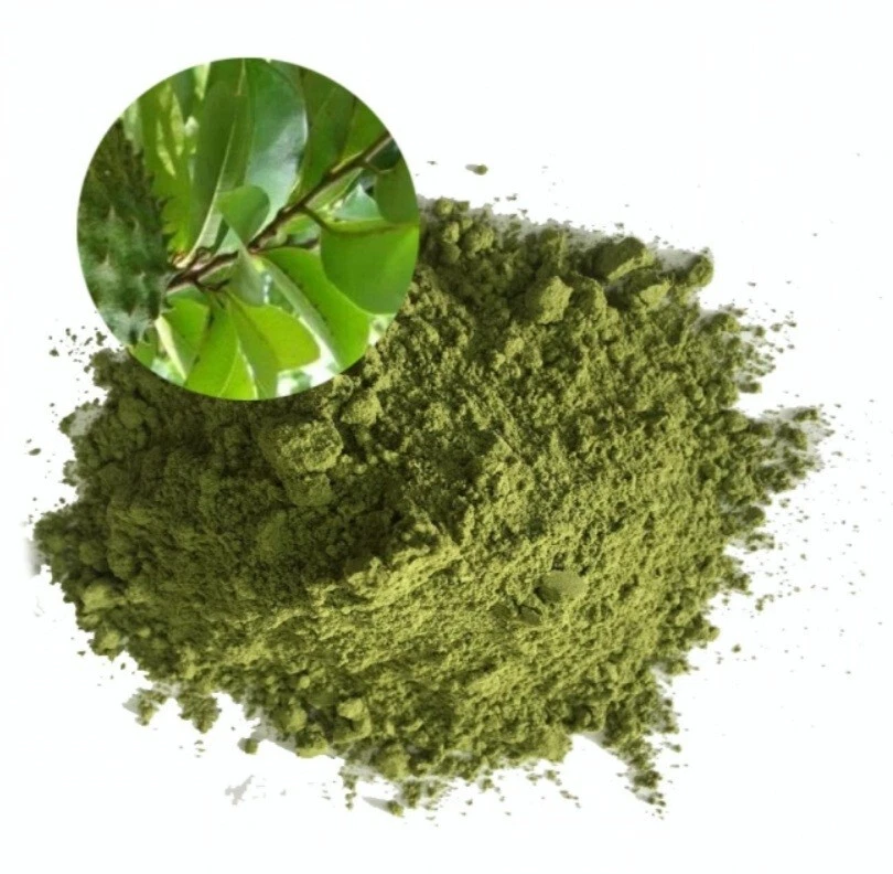 Soursop Leaves - Image 4
