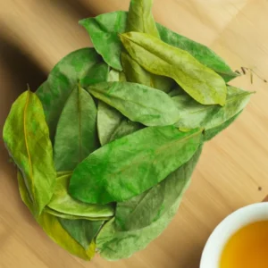 Soursop Leaves