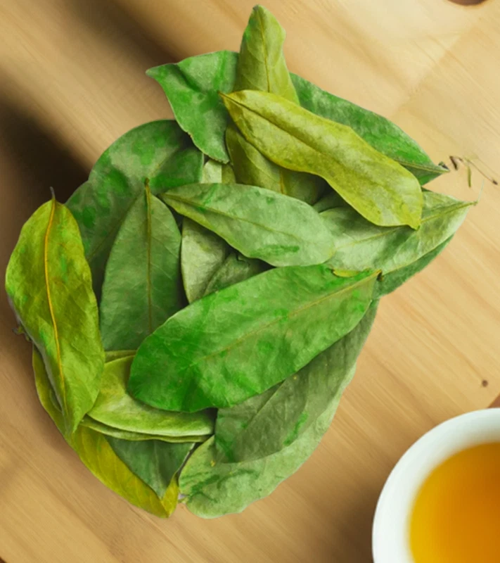 Soursop Leaves